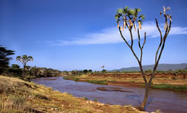 Samburu Ewaso Nyiro River